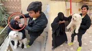 Anti Dog Gift Krna Agai 😍 Mena Mask Otar Dia 😰