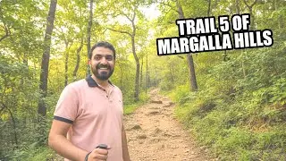 Explore Margalla Hills Trail 5 | Hiking Adventure in Islamabad