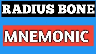 RADIUS BONE ANATOMY MNEMONIC,EASY WAY TO REMEMBER MUSCLE ORIGIN N INSERTION IN 4 MINUTES