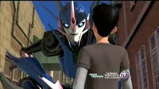 Arcee x Jack (sunflower)