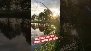 Angeln kann so sch&ouml;n sein | Angeln auf Zander, Hecht und Barsch &hellip; 🐟🎣🐟🎣🐟🎣