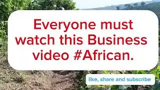 coffee plantation Business( how i used my salary to plant coffee)