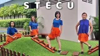 STECU Line Dance // ALD Community - New Lolita // Beginner Level