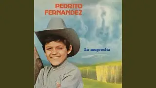 La Maletita