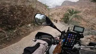 ١٦٢ - الشماتة ولا نروح سمبوسة