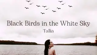 Tallia - Black Birds in the White Sky - Music | Таллия - Чёрные птицы в белом небе - Музыка