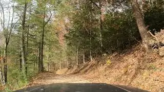 S-Tree & Horse Lick Trail