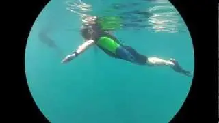 DOL-Fin-Doug