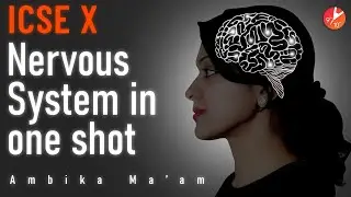 Nervous System in One Shot | ICSE / CBSE Class 10 Biology | Nervous System and Sense Organs  Vedantu