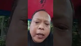 zaman kdm gubernur jabar loba pengamat teu bisa gawe #dedimulyadi