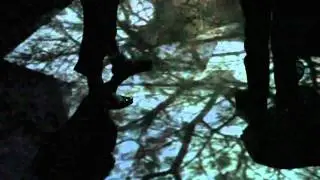 arboreal-104