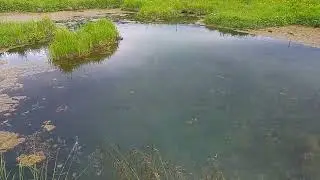 Kattarauga &iacute; Vatnsdal - the Cat's Eye in Vatnsdalur Valley