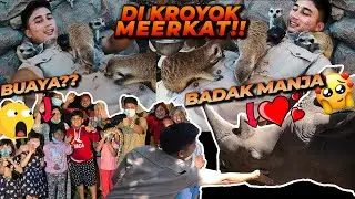 ADA MEERKAT, BUAYA DAN BADAK DI HOTEL ? KOK BISA !?
