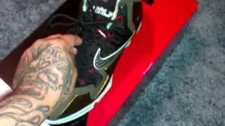 LeBron 11 ...Kings Pride
