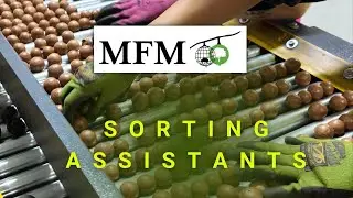 MFM Sorting Assistant