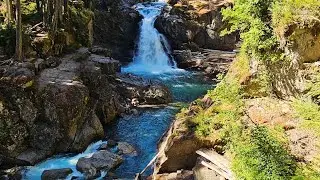 🌊 Hiking Mt Rainier National Park Silver Falls trail
