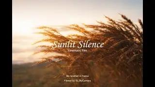 Sunlit Silence - Sony A7С Cinematic 4K