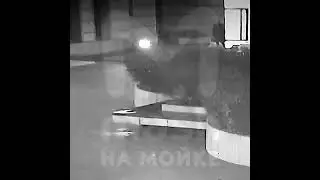 Момент падения из окна ведущего солиста Мариинского театра Владимира Шклярова &mdash; на видео с камер