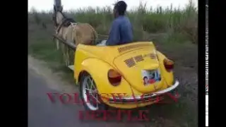 Modifications VOLKWAGEN BEETLE