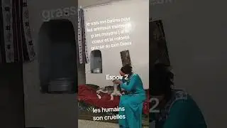 15 décembre 2025