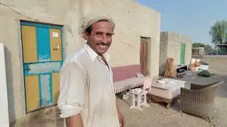 Grass in Desert | Gul Moin