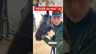 Horse people, &ldquo;NEVER stick your finger in a horse&rsquo;s mouth&rdquo; ..while doing it all the time themselves