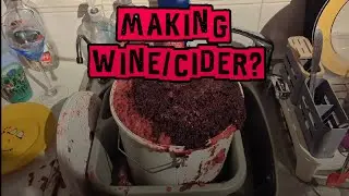 Making Wine/Cider? #homebrew 