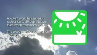 accoya wood promotional video