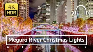 Tokyo Meguro River Christmas Lights Walking Tour - Tokyo Japan [4K/HDR/Binaural]