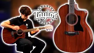 Taylor 224ce Plus SE Mahogany Blackwood Stain DEMO | Muziekhuis Souman