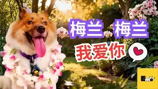 我一看到花花，我就陶醉了。。喜欢花花和不喜欢花花一定要进来看， 看了包你喜欢。。 【EMO小王子】
