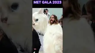 Met Gala  2023 with the theme on the late fashion icon Karl Lagerfeld.