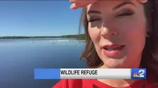A look inside the J.N. Ding Darling National Wildlife Refuge