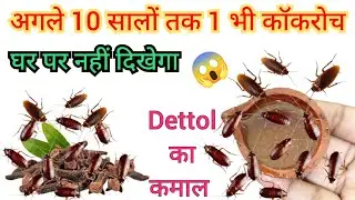 कॉकरोच भगाने का सबसे आसान तरीका | Cockroach Killer | Remedy | Get Rid Of Cockroach | New Idea | 2026