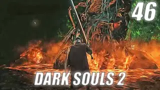 [ Part 46 ] He Just Pop Out Of Nowhere: Dark Souls 2 [ Gameplay Lets Play ]