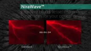 Small Animal Pre-Clinical Imaging Using Viscover&trade; Imaging Agents