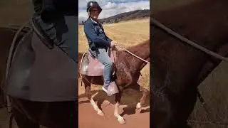 PASEO EN CABALLOS a Moray y Salineras. Un recorrido inolvidable en Cusco Peru #travel #adventure