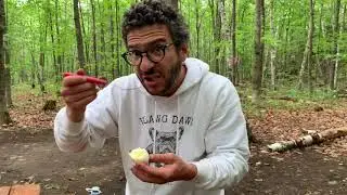How To Make Campfire-Smoked Eggs