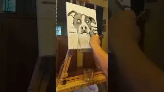 Time Lapse Pitbull Oil Painting