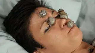 People Get Snail Facials For The First Time &bull; The Test Friends