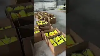 Reflective Vest Packaging: Protecting Quality in Transit