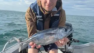 Tinny trolling for tuna Perth. Lost a wahoo? Mackerel?!