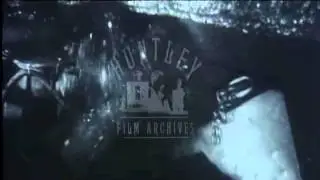 Miner watching Anderton Shearer, 1960's - Film 91759