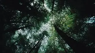 Nostalgic ambient Fred again x Flume type beat | PHANTOM |