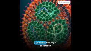 Zeroharm Liposomal Supplements
