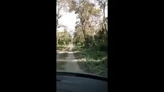 Inside Mendabari Jangle Camp Drive