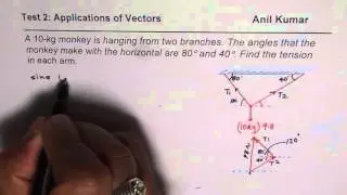Vector Application Tension in Arms of Monkey