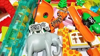 Satisfying Building Blocks Marble Run ASMR #207 Electric Elevator Halfpipes Giraffe ELEPHANT live 17