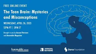 The teen brain: Mysteries and misconceptions