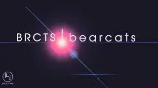 BRCTS - Why Don't You Love Me